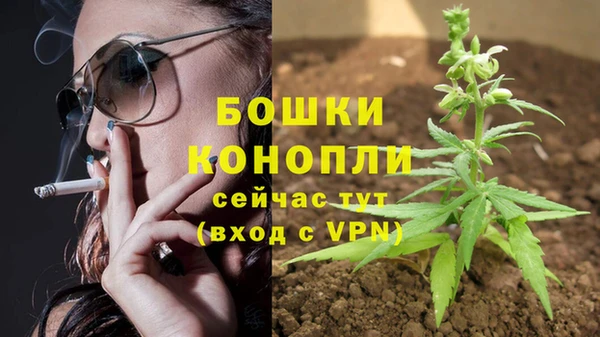 mdpv Володарск